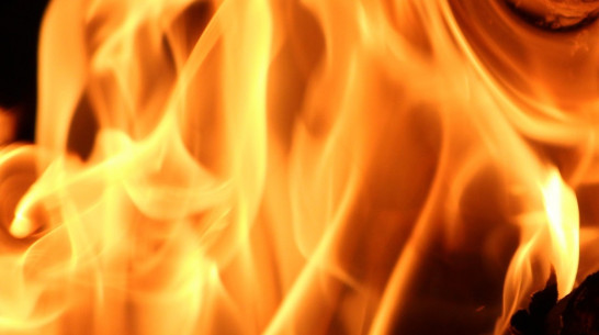 «Поступок нового Прометея». Воронежские деятели искусств объяснили акцию Павленского