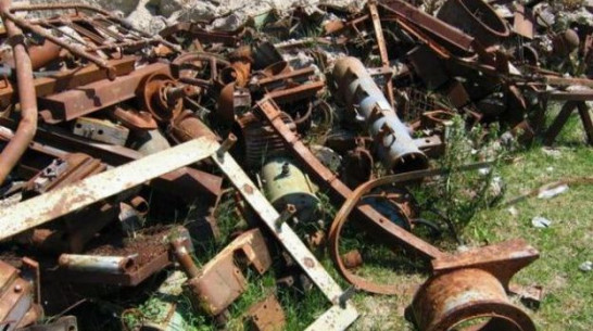 В Ольховатском районе с пастбища сельхозпредприятия похищены металлические столбы