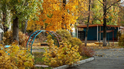 Ноябрь начнется в Воронежской области с 17-градусного потепления