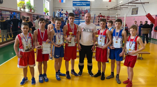 Борисоглебские боксеры выиграли 7 золотых медалей на открытом турнире