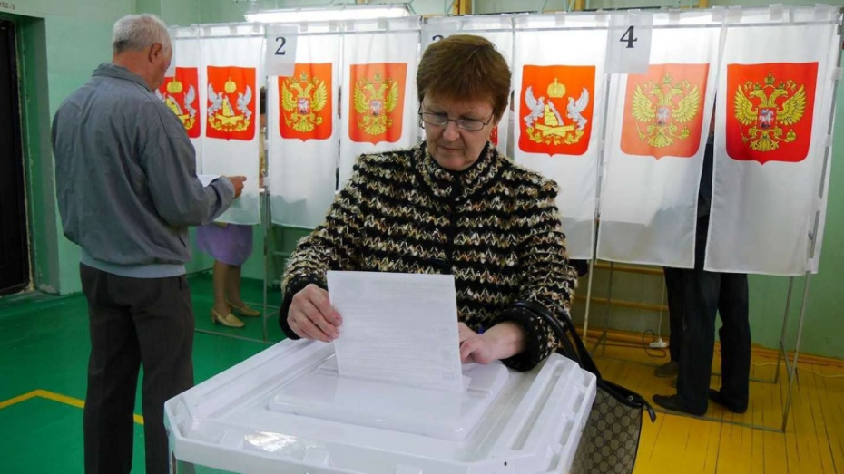 Избиратели отдали свои голоса 12 работникам «Воронежэнерго»