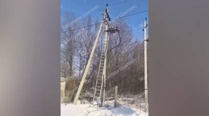 СК возбудил уголовное дело после жалоб на отключение света в СНТ «Дальние сады» и «Ближние сады» в Воронеже