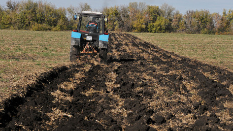 Комиссии по ЧС в агропромышленном комплексе создадут в районах Воронежской области