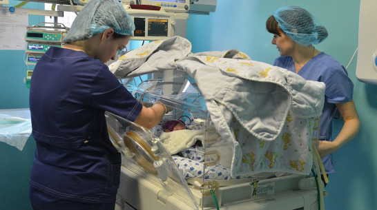 В Воронежской области выходили 920 недоношенных детей в 2022 году