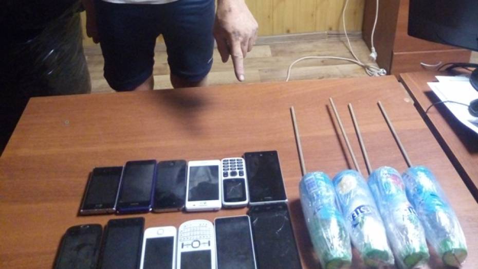 В Воронежской области парень попытался перекинуть через забор колонии 12 телефонов