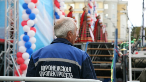 Губернатор: уголовные дела не помешают продаже «Воронежской горэлектросети» 