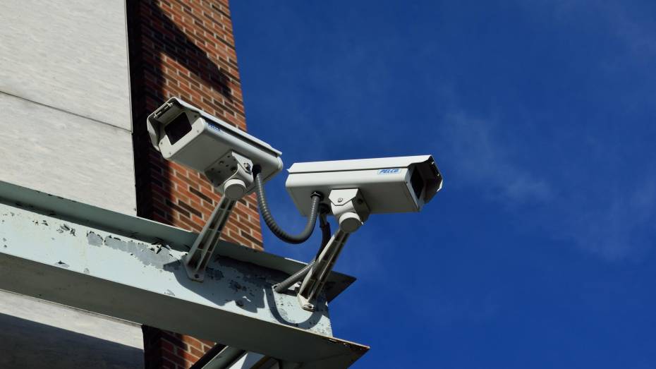 В Воронеже на обеспечение общественного порядка дополнительно направят 62,4 млн рублей