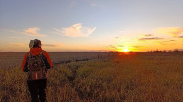 В Воронежской области за неделю живыми нашли 18 пропавших людей