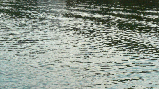 В Рамонском районе нашли утопленника