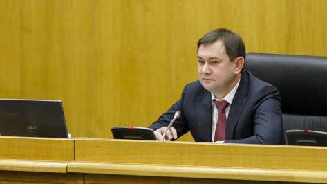 Владимир Нетесов: «Для воронежских многодетных семей расширены льготы на оплату ЖКХ и по транспортному налогу»