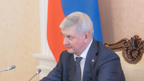 Губернатор Александр Гусев призвал воронежцев не поддаваться на информационные провокации