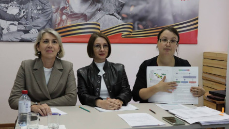 Специалисты Воронежской областной детской библиотеки готовятся к защите статуса образцового учреждения федерального уровня