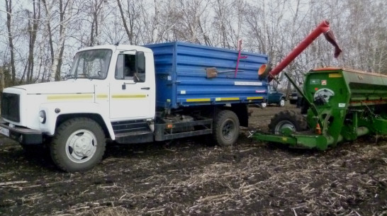 В Каширском районе впервые в севооборот ввели кориандр и лен