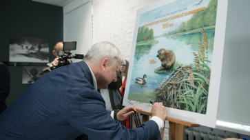 Воронежский губернатор: особо охраняемые природные территории будет контролировать новая структура