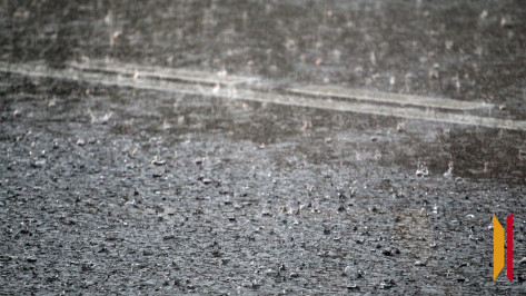 Синоптики рассказали, придет ли в Воронеж аномальный ливень, затопивший Москву