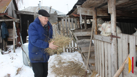 Надежда и сила духа: как преподаватель вуза из-за пагубной привычки потерял все и смог вернуться к жизни в таловском селе