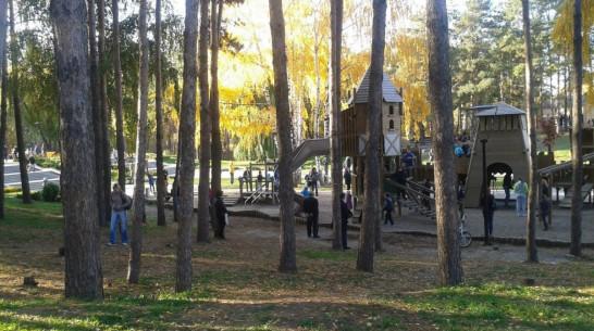 Пользователи Рунета выделили воронежский парк «Алые паруса»