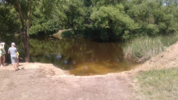 По собственной инициативе очистил берег пруда местный житель в поворинском селе Самодуровка