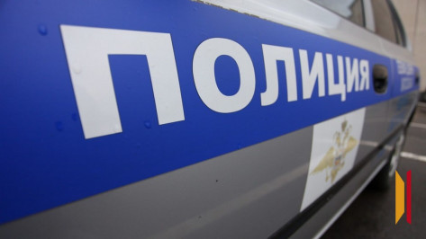 В Воронеже водитель несколько раз переехал собаку автомобилем на глазах у детей