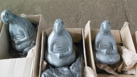 Воронежские таможенники задержали ждунов