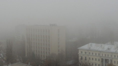 Туман прогнозируют в Воронежской области одновременно с заморозками