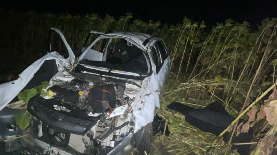 В Воронежской области 31-летний водитель «Лады Калины» погиб в ДТП