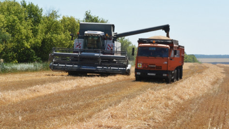 В Калачеевском районе началась уборка зерновых