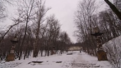 В воронежском парке «Динамо» не будут вырубать деревья для строительства «ливневки»