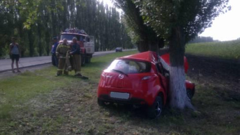 В Воронежской области женщина за рулем иномарки врезалась в дерево, пострадали два человека