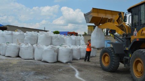 Воронежские таможенники задержали 200 кг соли из Евросоюза