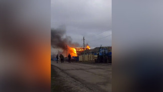 В Воронежской области сняли на видео пожар, в котором сгорели 2 человека