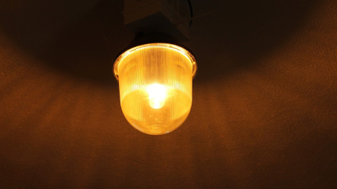 В Воронежской области начали прием заявок на конкурс ENES-2017 