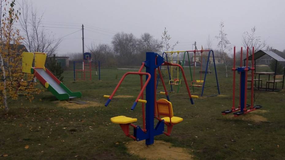В богучарском селе Липчанка активисты обустроили детскую спортивную площадку