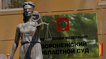 Мошенники заставили воронежца перевести им деньги башкирской пенсионерки и кредит жены