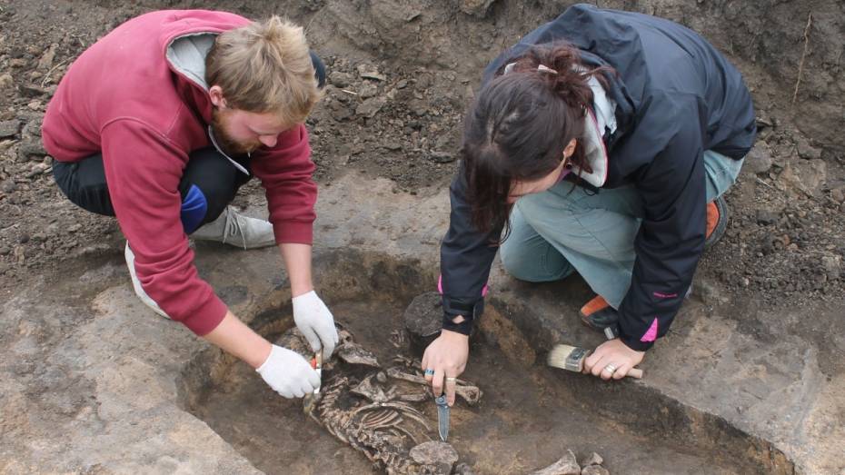 «Колдунья» и кости с орнаментом. Что нашли археологи в Воронежской области в 2016 году