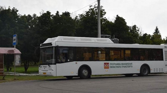 В Кантемировке в третий день выборов проезд в общественном транспорте будет бесплатным