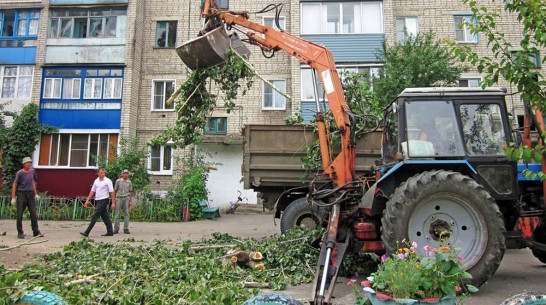 В Бутурлиновке спилили 30-летние тополя