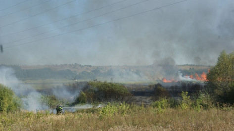 В Хохольском районе за неделю  произошло 16 возгораний травы и бытового мусора