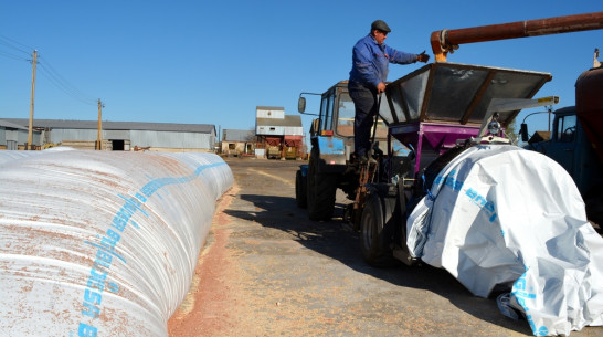 Нижнедевицкие аграрии освоили новую технологию хранения зерна