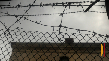 В Воронеже директору УК дали 2 года колонии общего режима за гибель 19-летней девушки от упавшего дерева