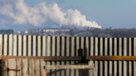 Воронежская область резко снизила объем выбросов вредных веществ в атмосферу