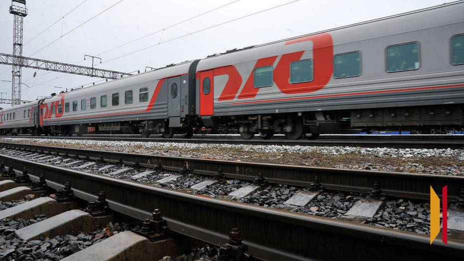 В Воронежской области житель Магнитогорска похитил в поезде женщину