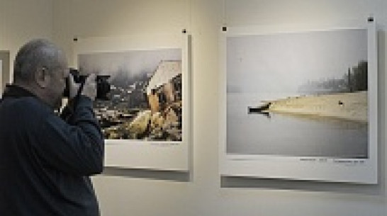 В Воронеже открылась выставка, где картины соседствуют с фотографиями