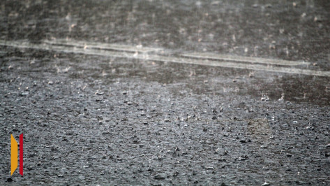 Воронежцев предупредили о ливнях и сильном ветре с порывами до 16 м/с