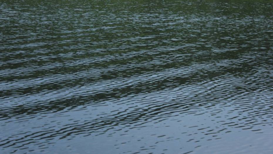 Мужчина утонул в Воронежском водохранилище у парка «Дельфин» 