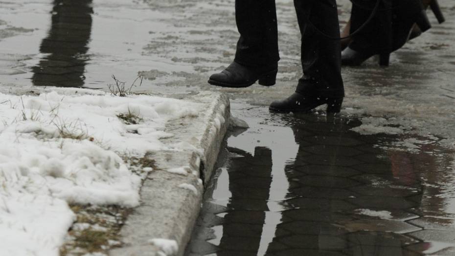 Плюсовая температура и снег с дождем вернутся в Воронеж в выходные