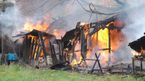 В Новохоперском районе 85-летняя пенсионерка из-за пожара едва не лишилась дома 
