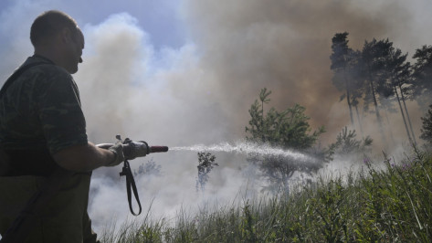В Воронежской области установили высокий класс пожароопасности