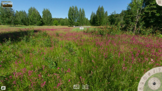 Воронежский заповедник запустил виртуальный тур