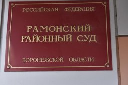 Доверчивая жительница Воронежской области перевела телефонным мошенникам более 1 млн рублей